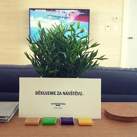 נובה מסטו נה מורבה Apartman Nad Arenou Nmnm מראה חיצוני תמונה