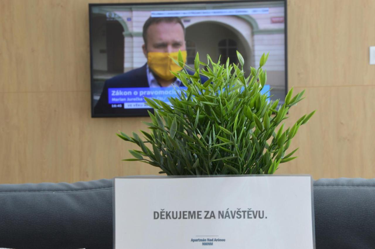 Апартаменты Nad Arenou Nmnm Нове-Место-на-Мораве
